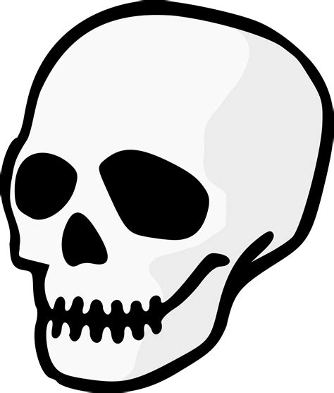 skull png|Skull PNGs for Free Download .